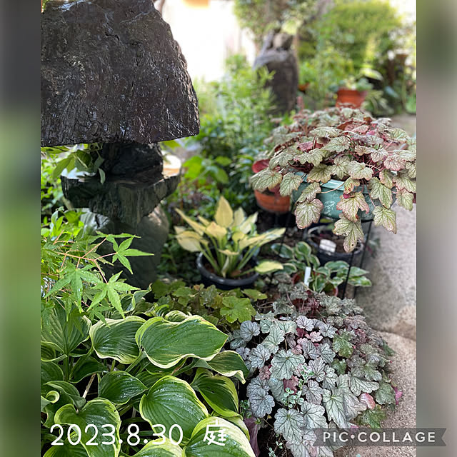 buchiさんの実例写真
