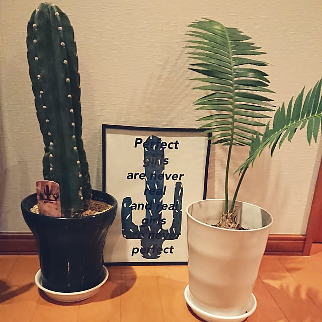 ot-gardenさんの実例写真
