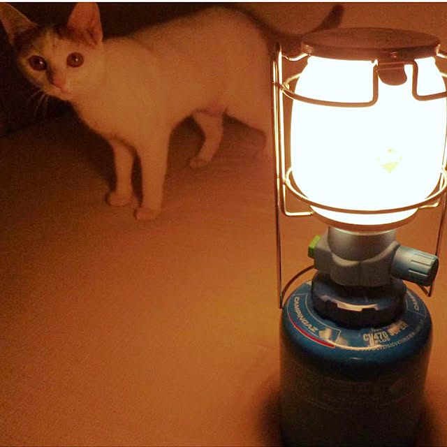 sakurasakuさんの実例写真