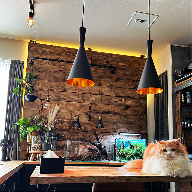 KUMA_STARIUMさんの実例写真