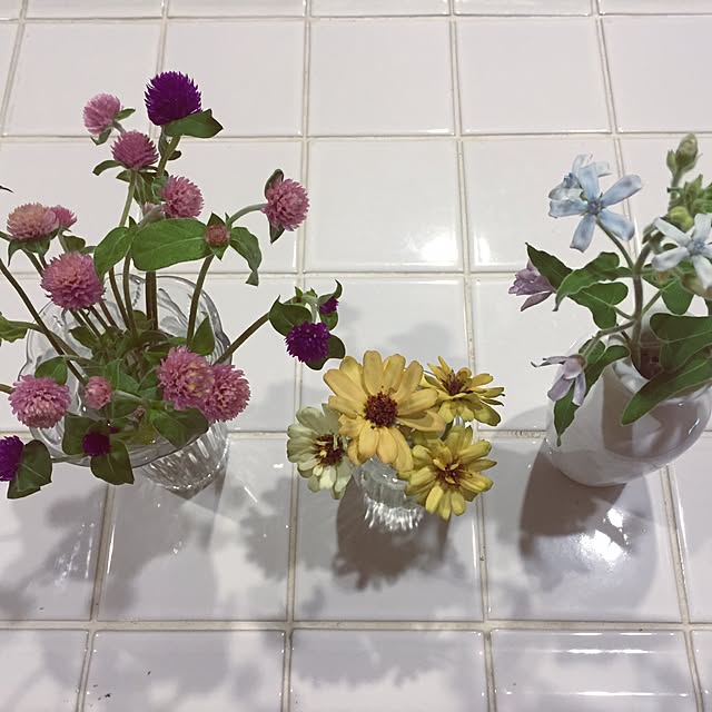 happygardenさんの実例写真