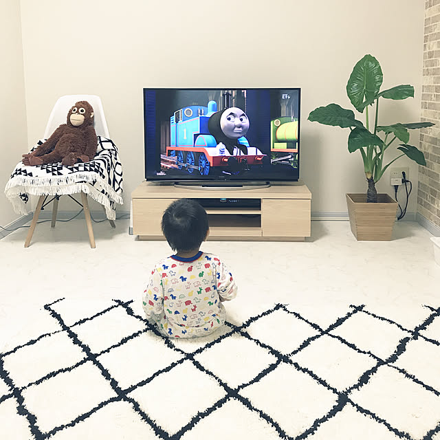 aomaさんの実例写真