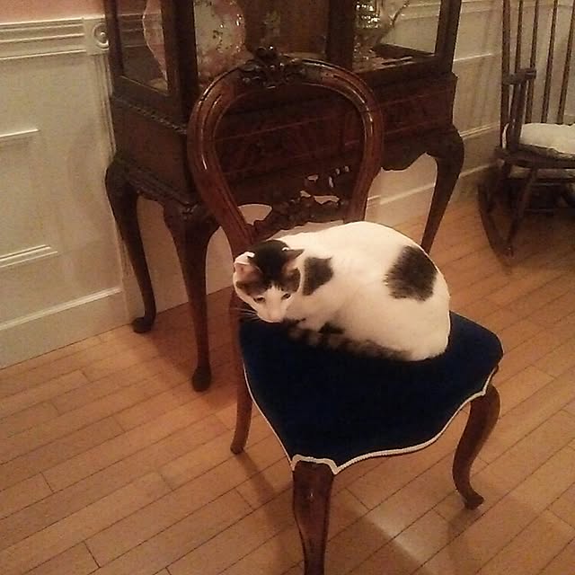sakuraさんの実例写真