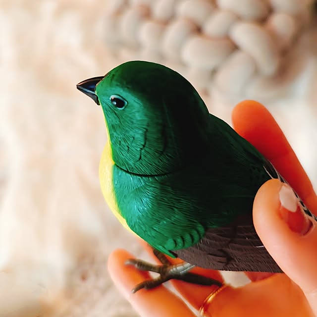 megurinさんの部屋
