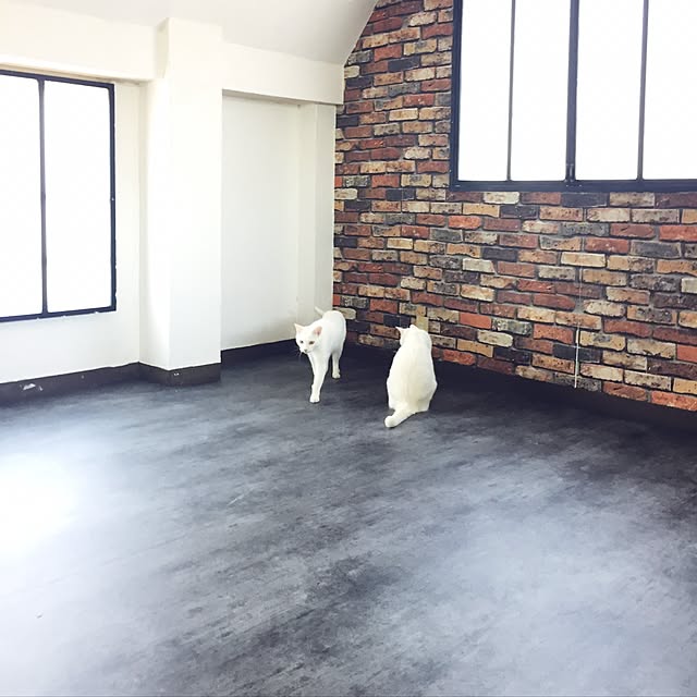 catsmamさんの実例写真