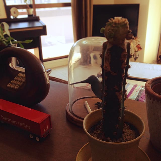 jazzmanさんの実例写真