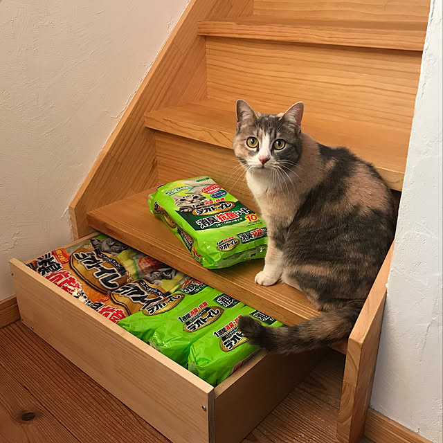 sakurasakuさんの実例写真