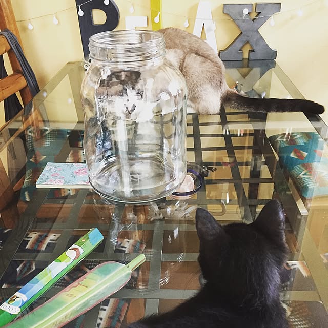 bowbowcoさんの実例写真