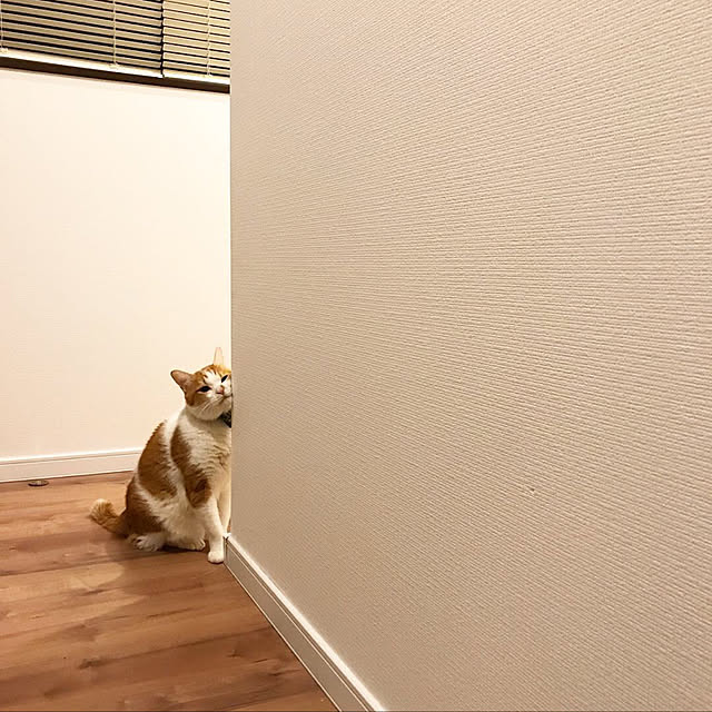 __me.さんの実例写真