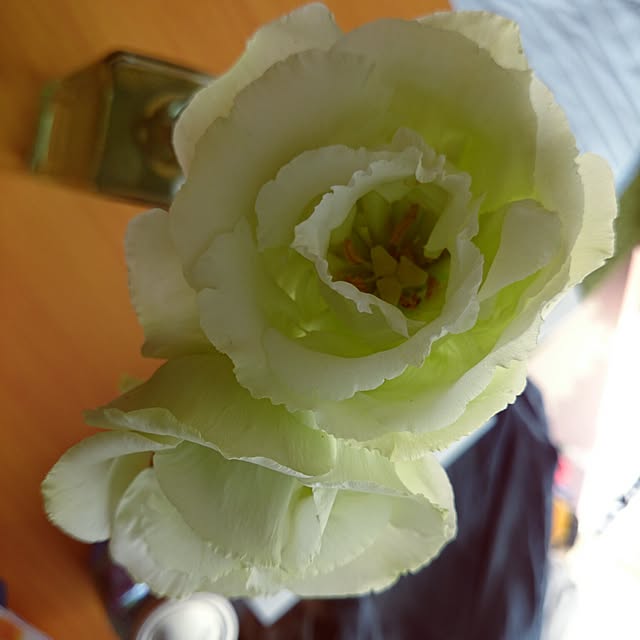 Yukirinさんの実例写真