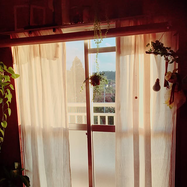 yu-chanさんの実例写真