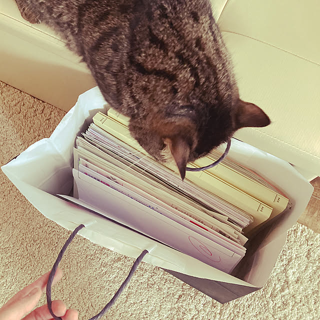 nocomomさんの実例写真