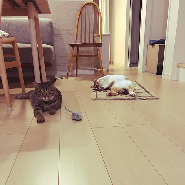 famiさんの実例写真