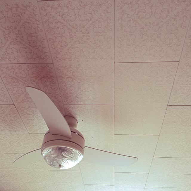 nikoさんの実例写真