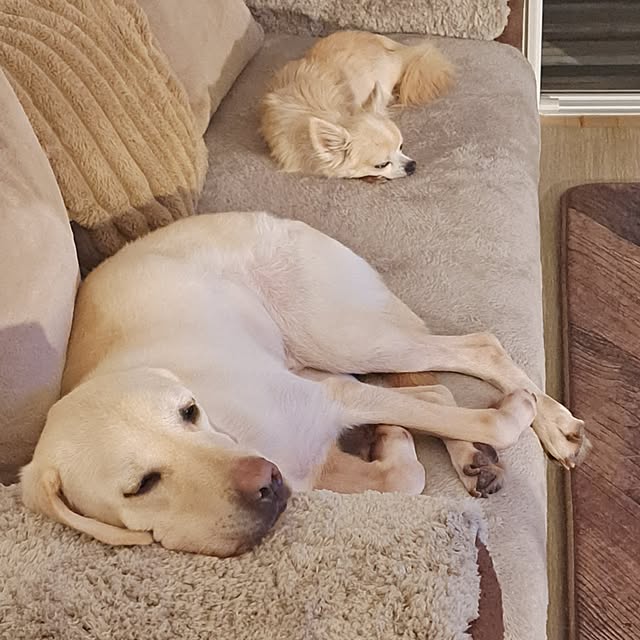 mihiroさんの実例写真