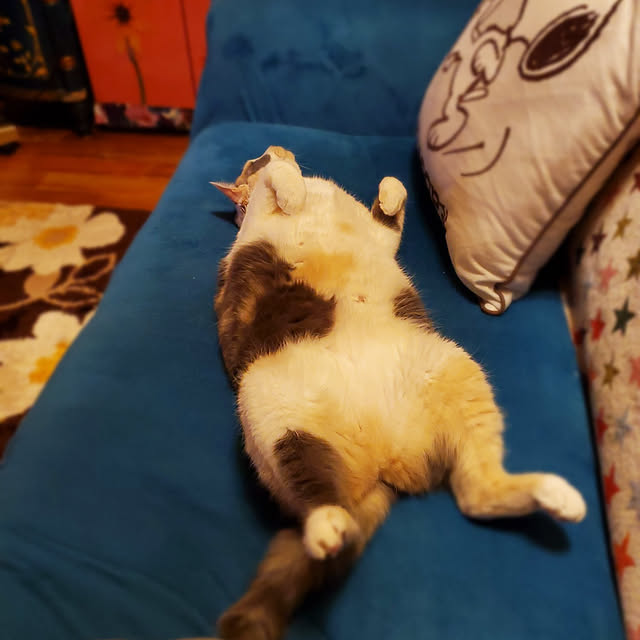 kumutanさんの実例写真