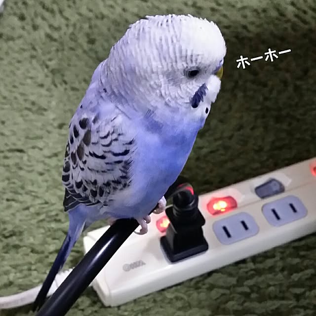 karinさんの実例写真