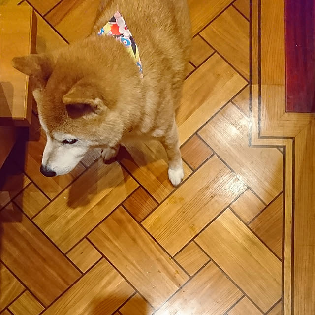 noripopさんの実例写真