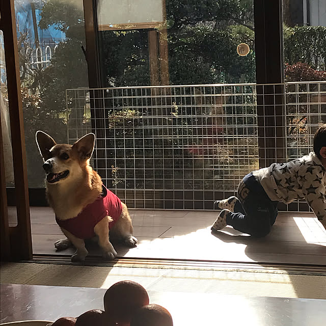 EMIKOさんの実例写真