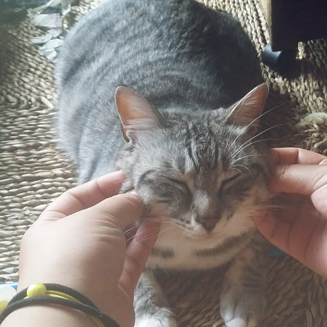 annさんの実例写真
