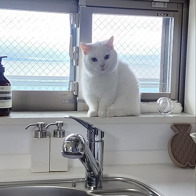 tomatoさんの実例写真