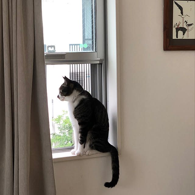 JUENさんの実例写真