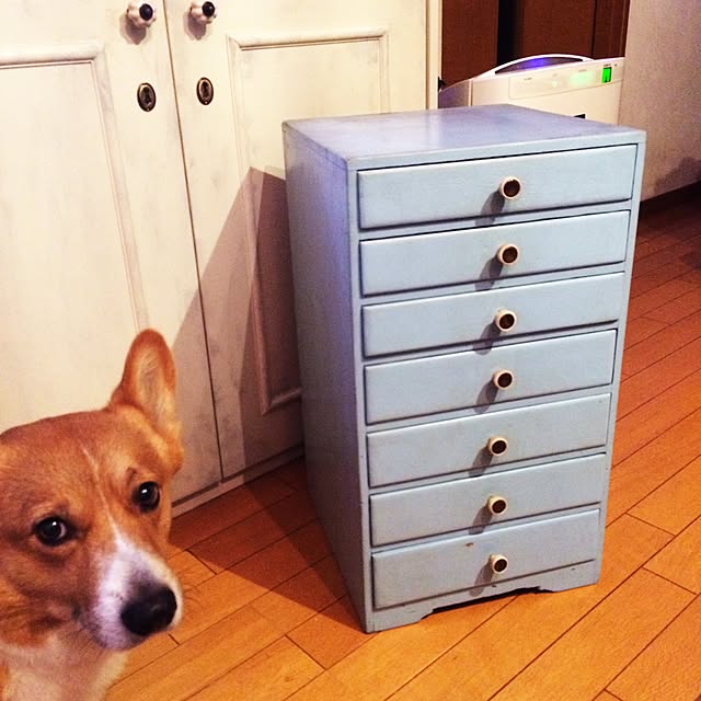noraさんの実例写真