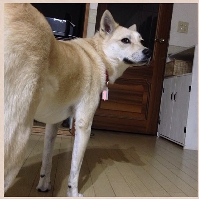 leonaさんの実例写真