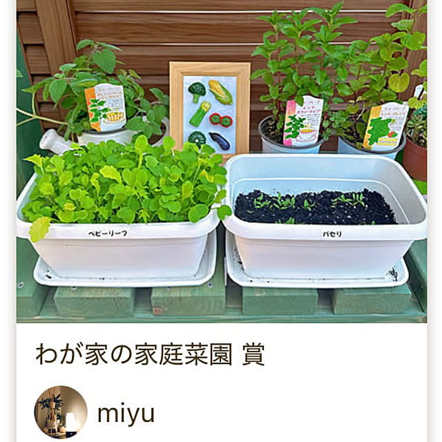 miyuさんの部屋