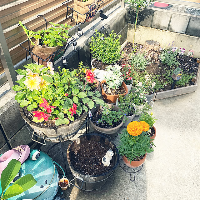 omibuさんの部屋