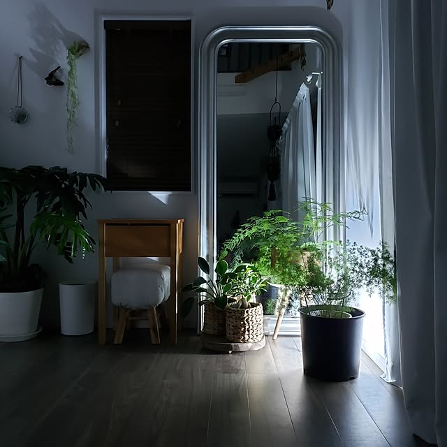 chidorinさんの部屋