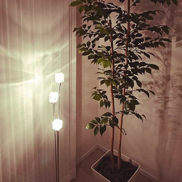 koriさんの実例写真