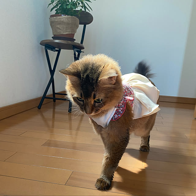 yuri.sさんの実例写真