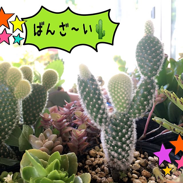 RIONさんの実例写真