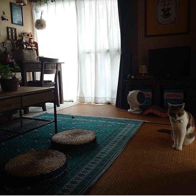 fukuさんの部屋