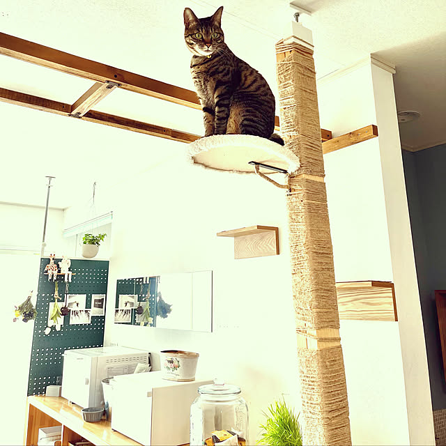 masamasaさんの実例写真