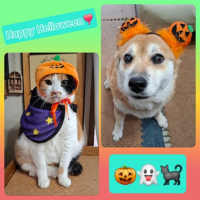 nanaさんの実例写真