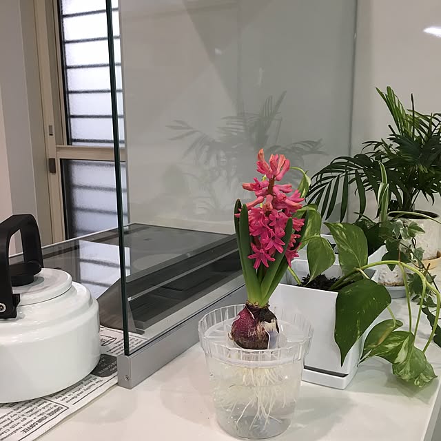 michiさんの実例写真