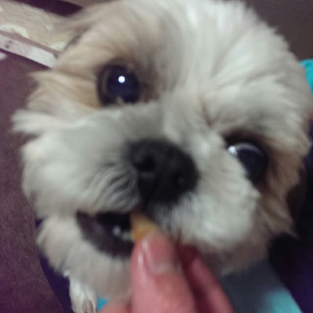 tibiさんの実例写真