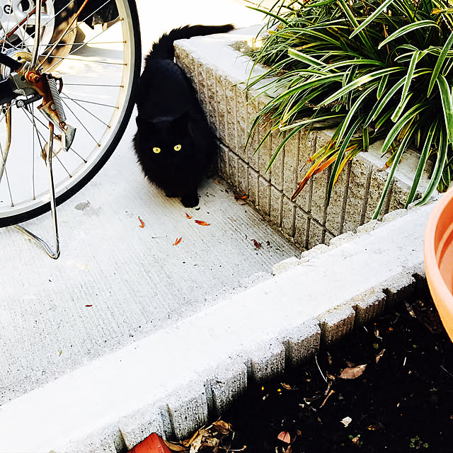 minamiさんの実例写真