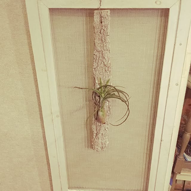 kotamaruさんの実例写真