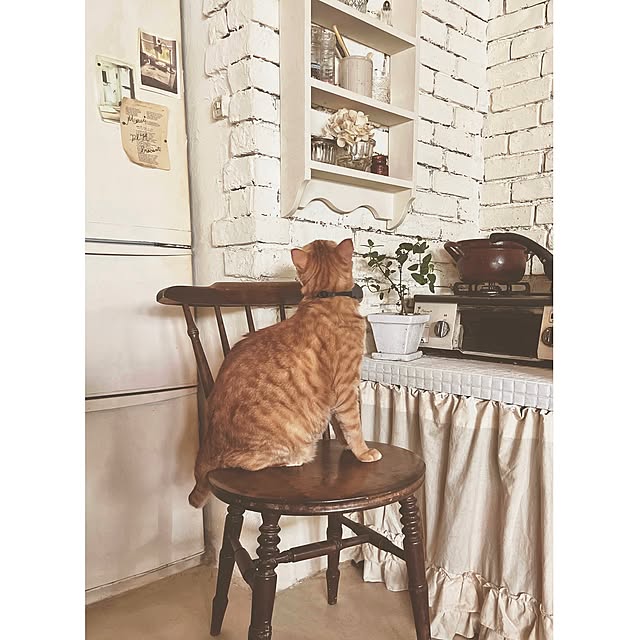 ataさんの実例写真