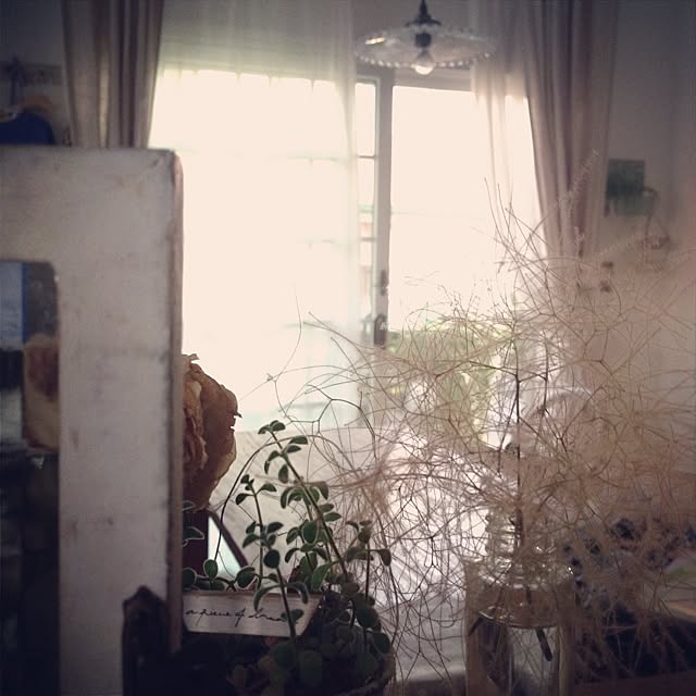 Nanaさんの実例写真