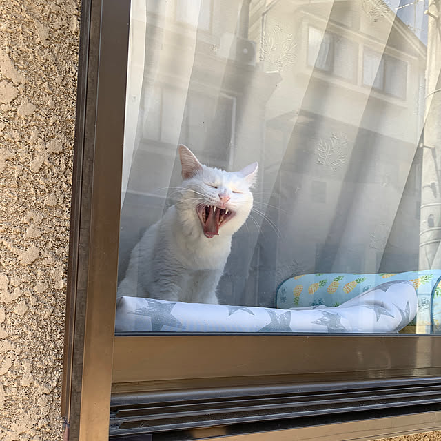keiさんの実例写真