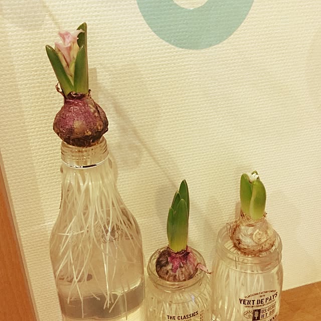 keitunさんの実例写真