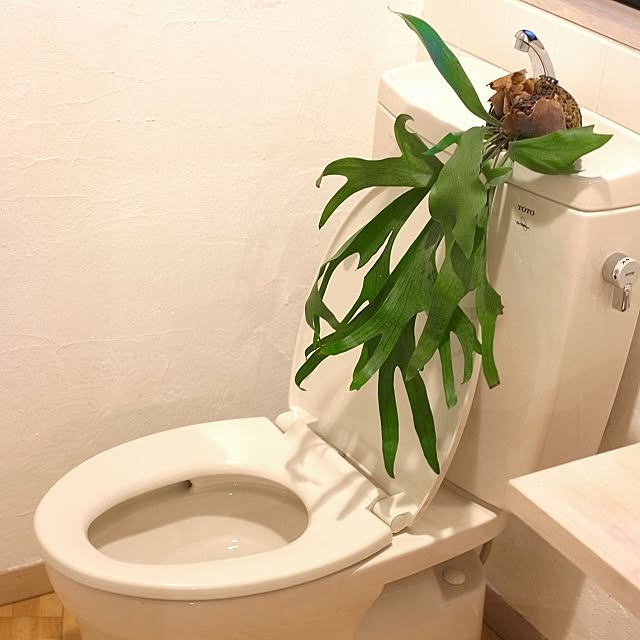 Katsuraさんの実例写真
