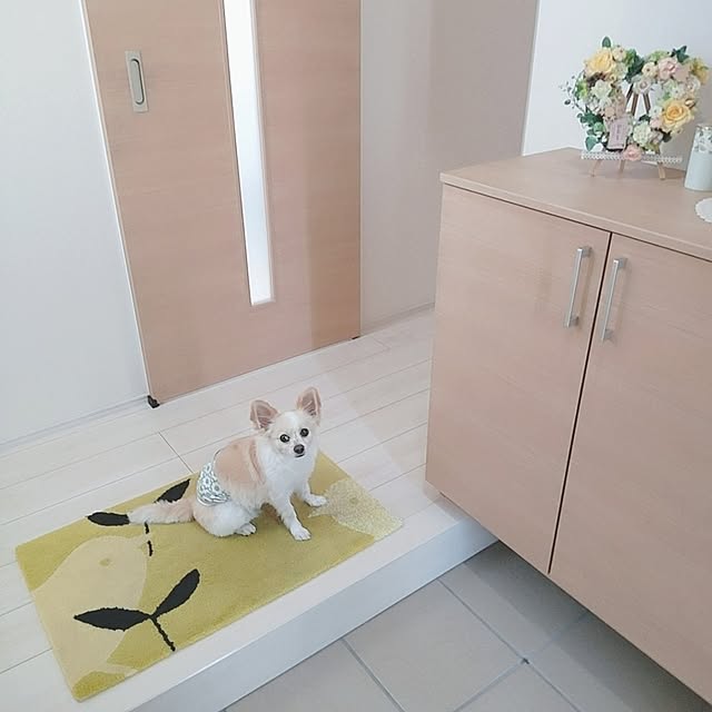 PAOさんの部屋