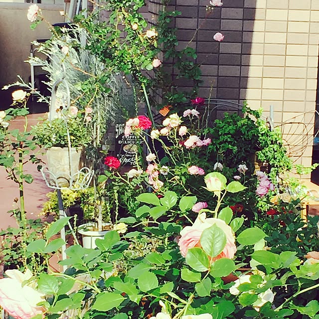 magachanさんの実例写真