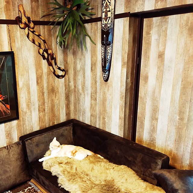 kobakissaさんの部屋