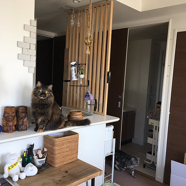 mikomaruさんの実例写真